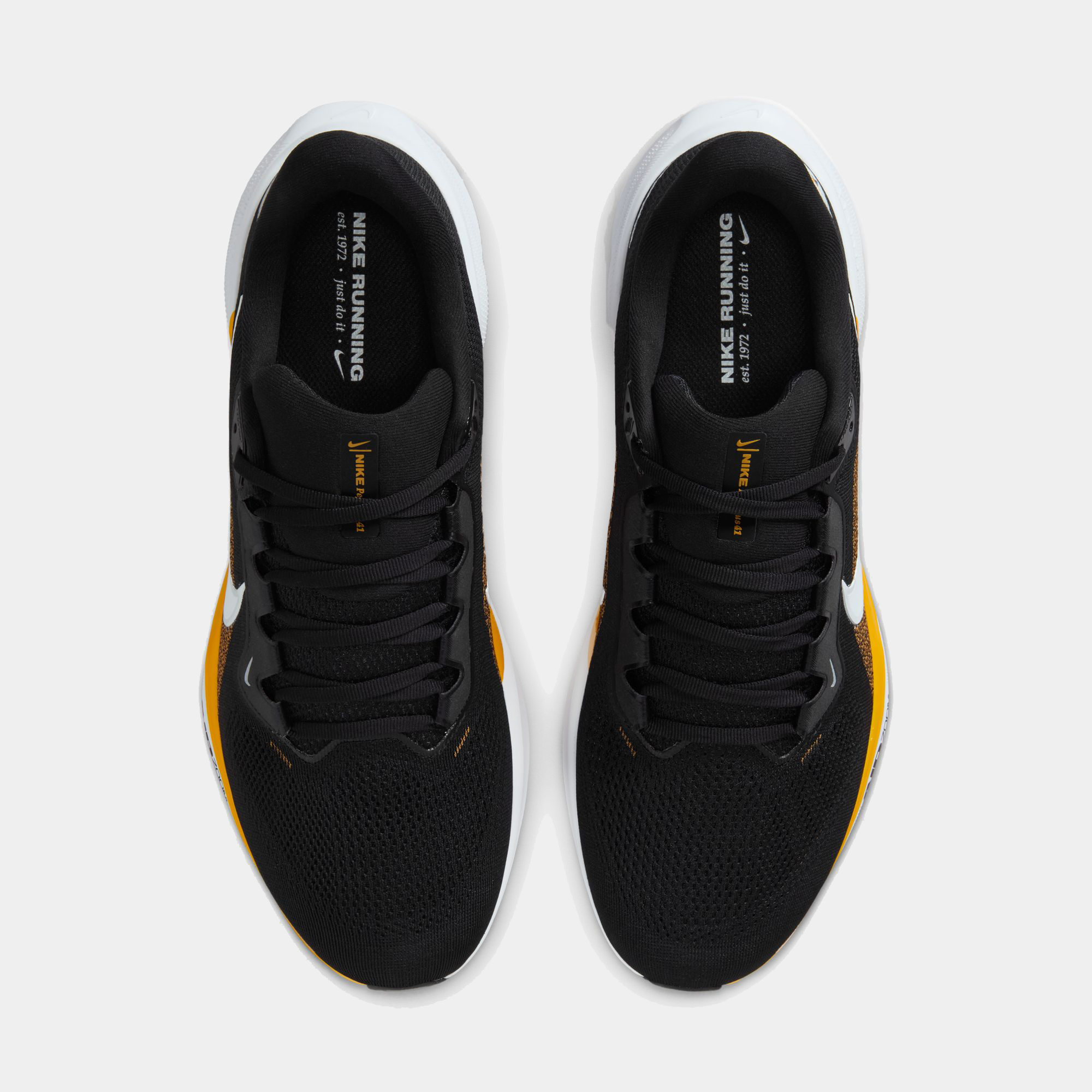 Pittsburgh Steelers Pegasus 41 product image