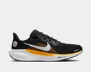 Pittsburgh Steelers Pegasus 41