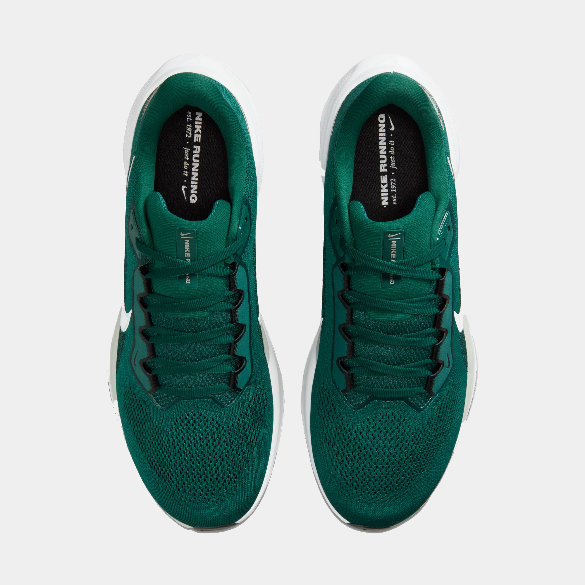 Philadelphia Eagles Pegasus 41 product image