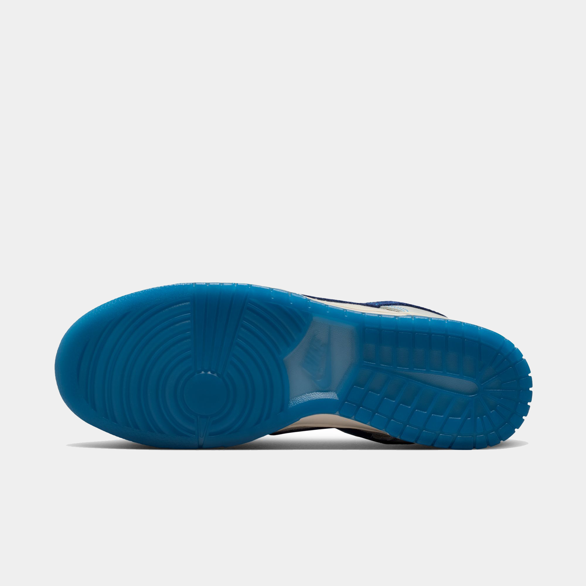 Dunk Low Retro SE product image