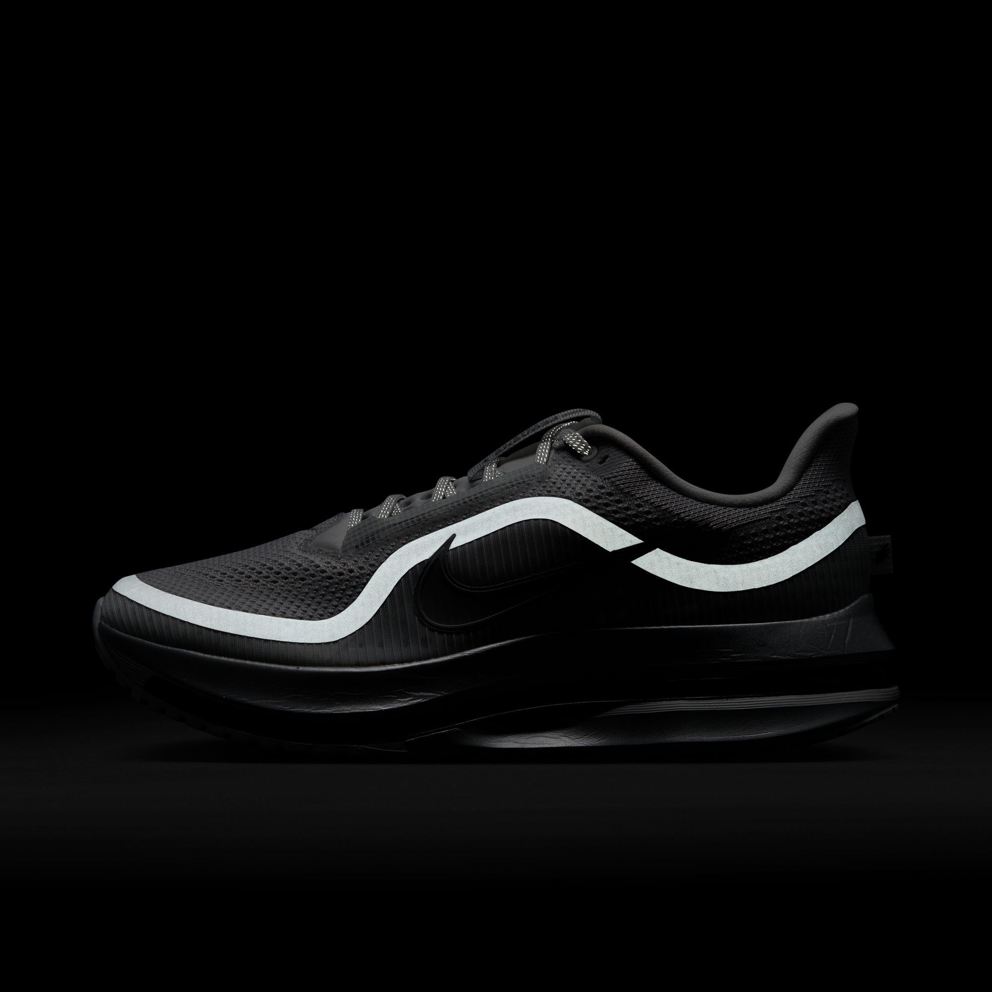 Pegasus Premium product image