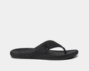 Black sandal on a white background