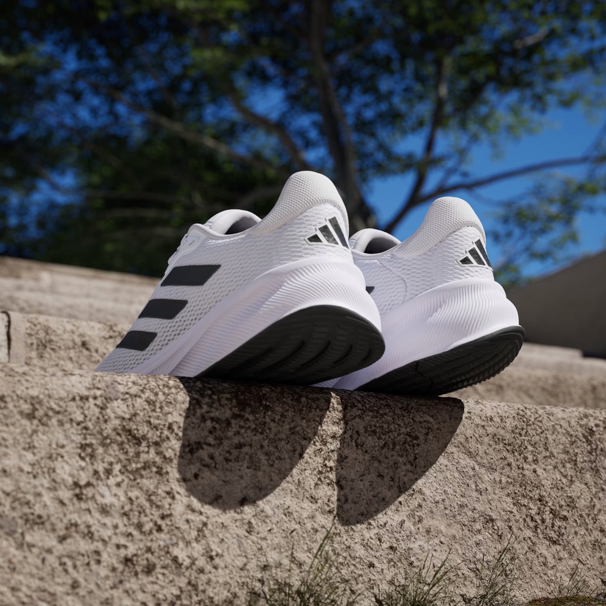 Adidas White and Black Running Shoes Mens adidas Superstar Shoes White / Black EG4958 | Chicago  main image 2