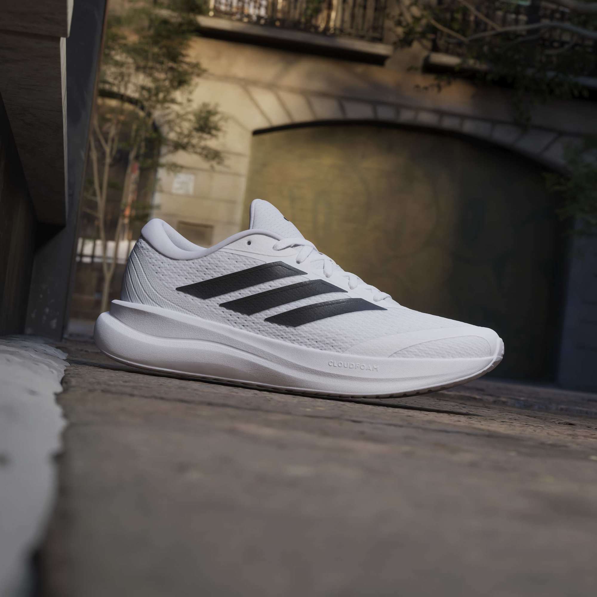 Runfalcon 6 product image