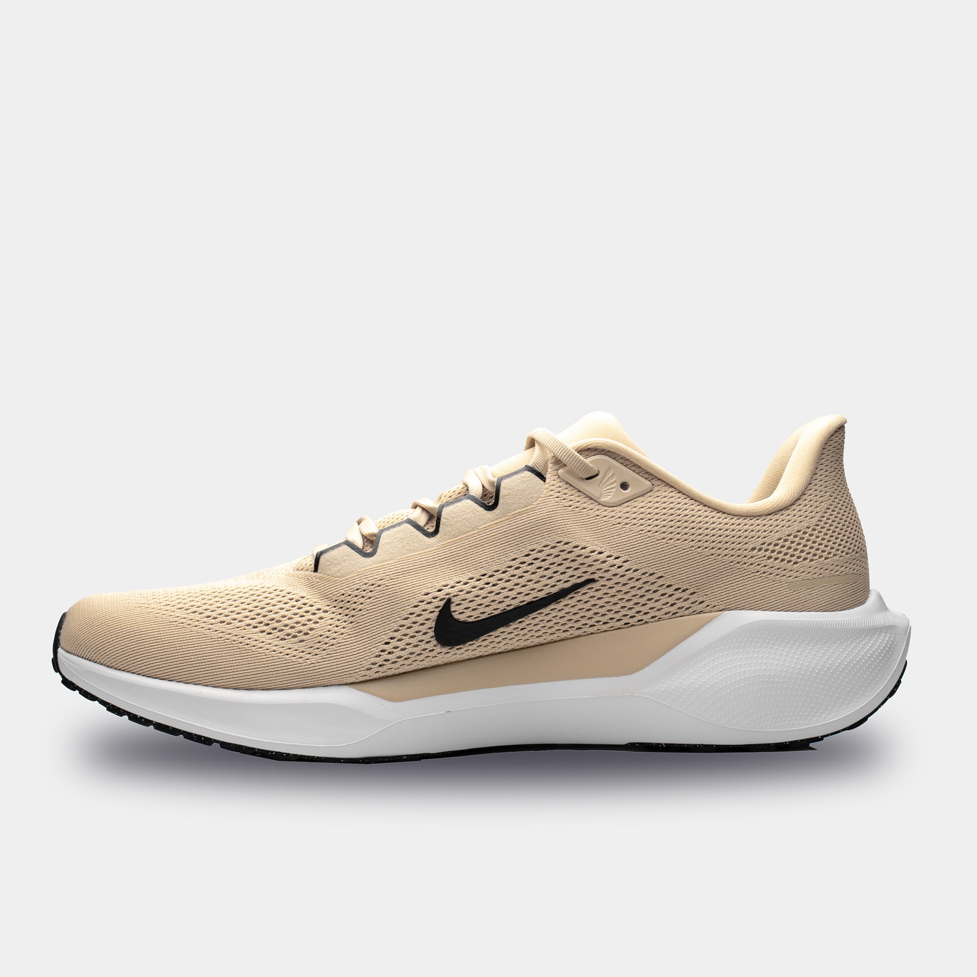 Air Zoom Pegasus 41 TB product image