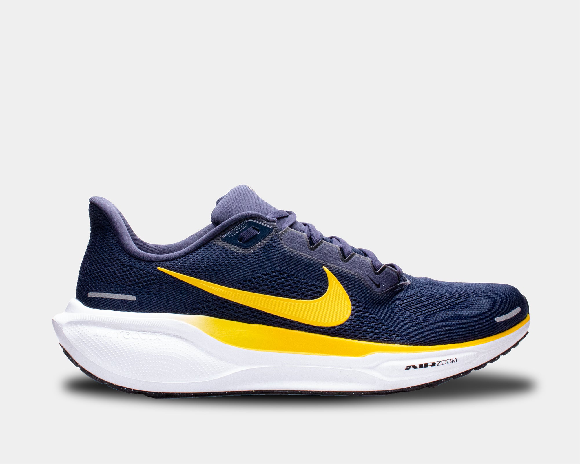 Air Zoom Pegasus 41 TB product image