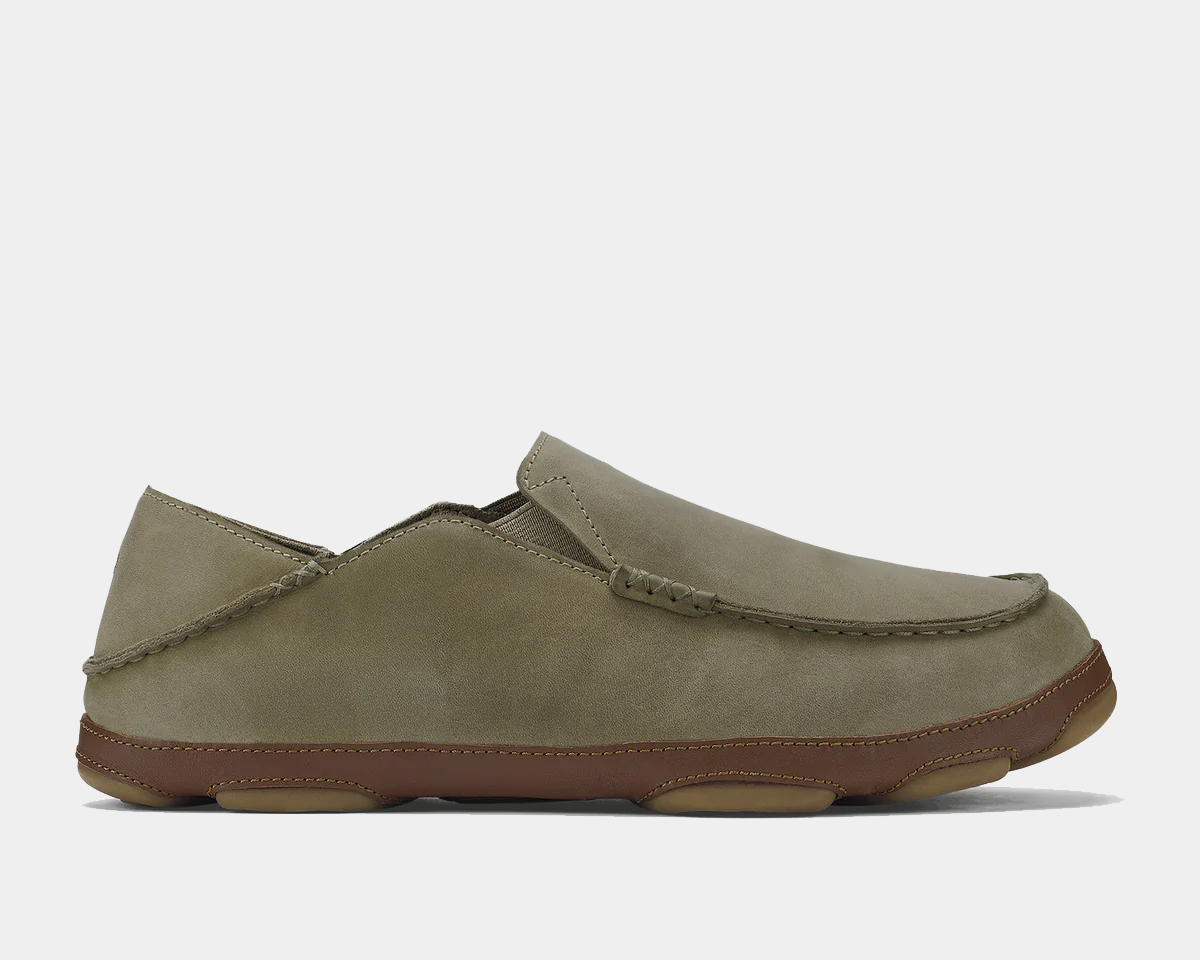 Moloa product image