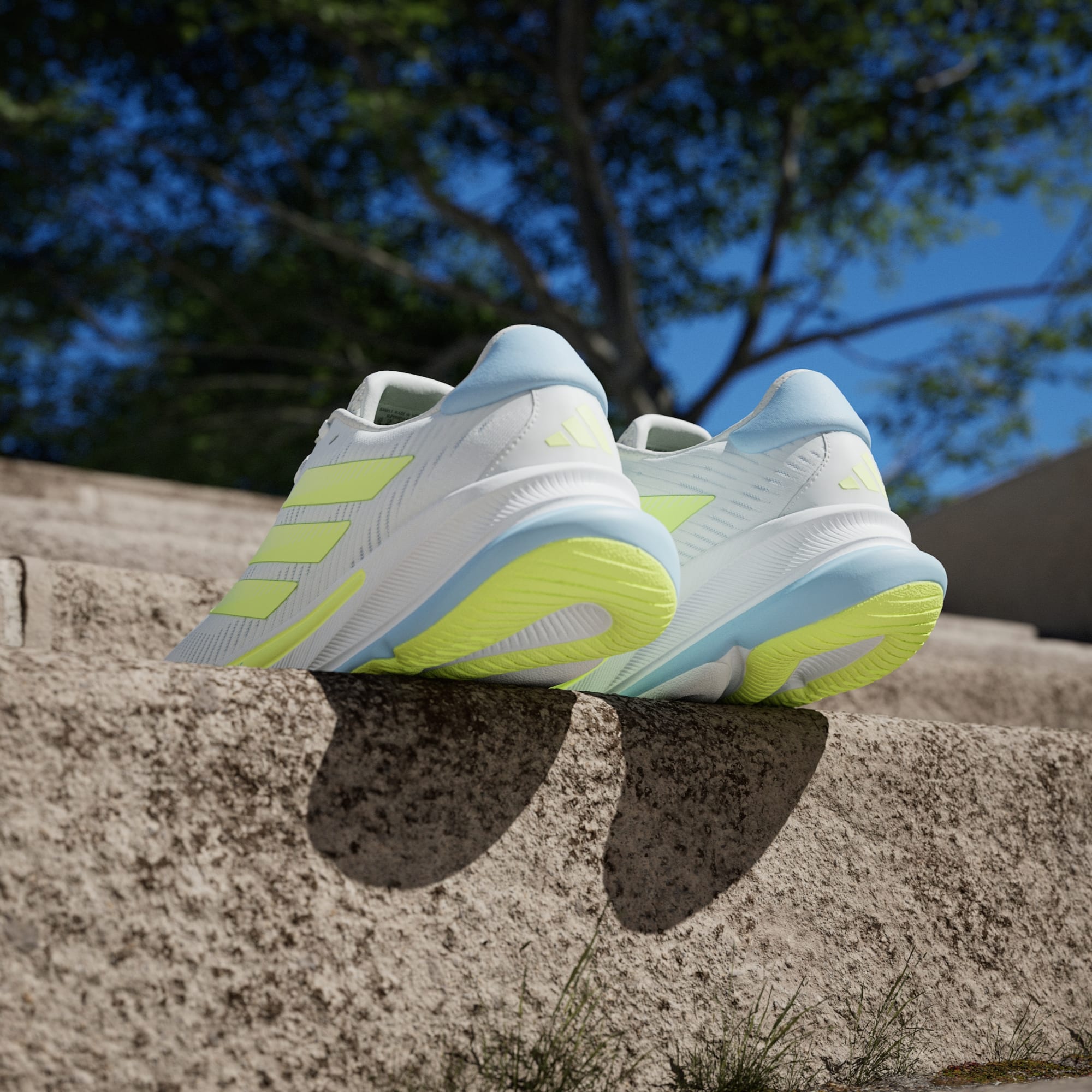 Supernova Ease product image