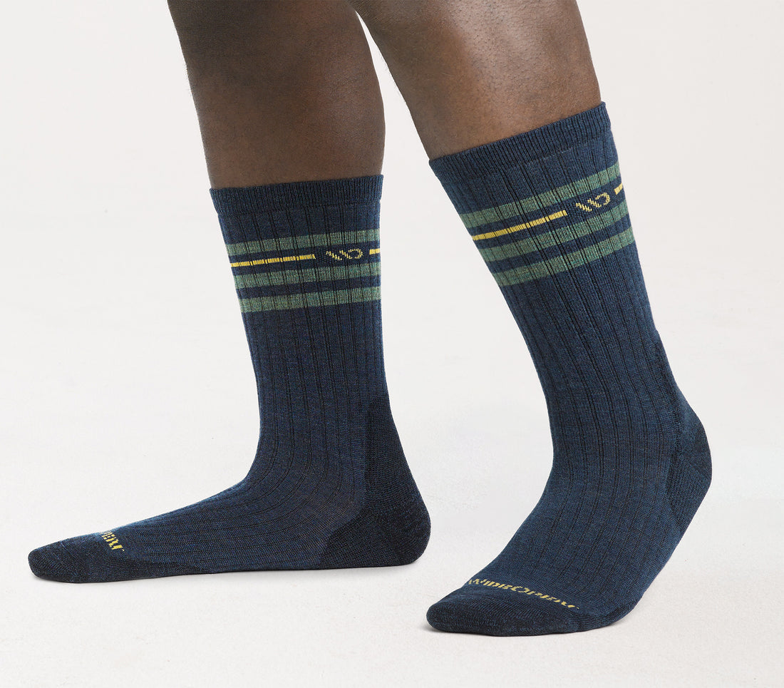 Vintage Stripe Cushioned Crew Socks product image