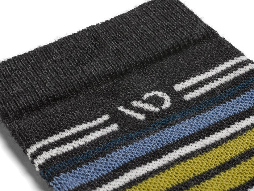 Multi Stripe Cushioned Micro Crew Socks product image