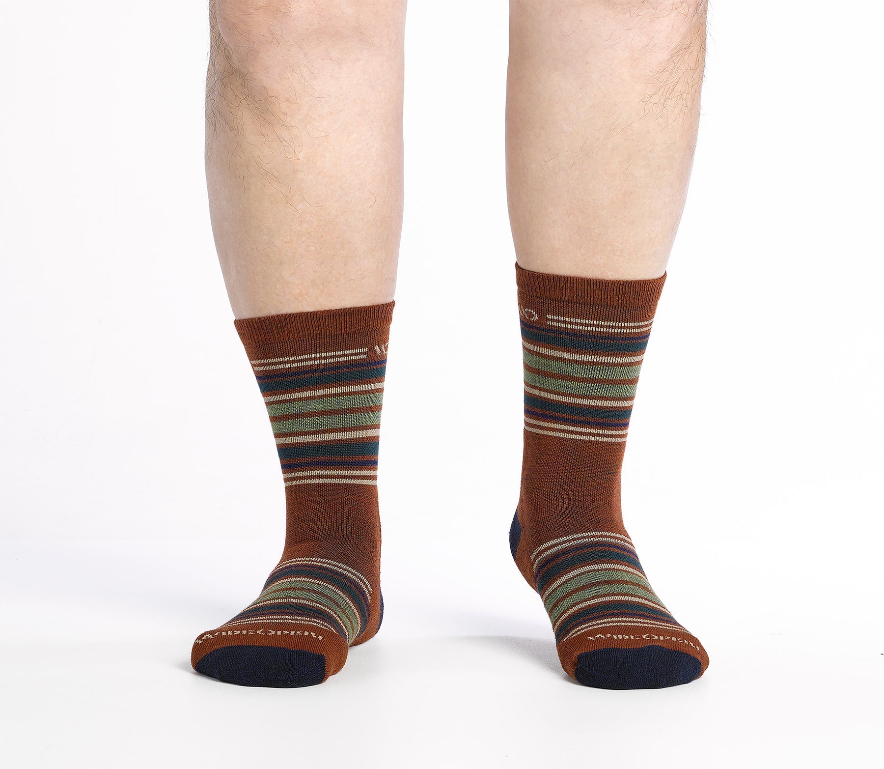 Multi Stripe Cushioned Micro Crew Socks product image