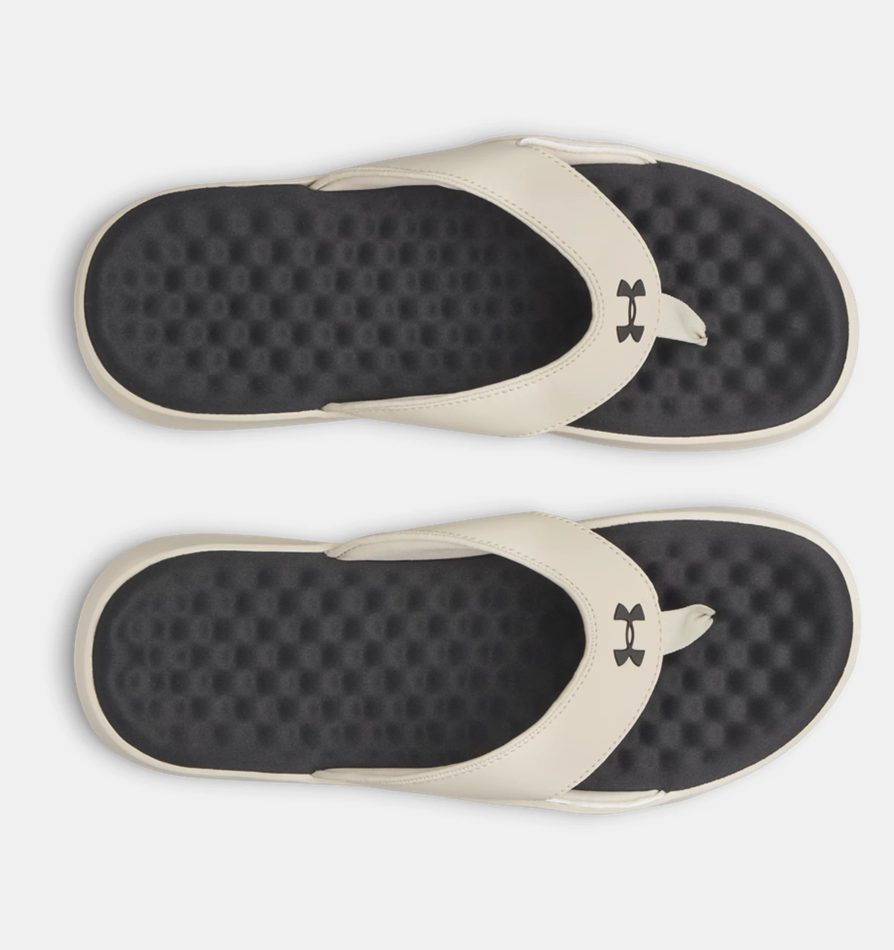 Ignite Pro 8 T product image