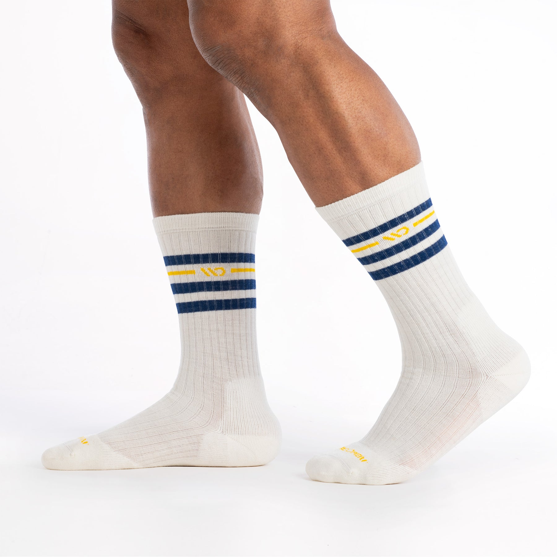 Vintage Stripe Cushioned Crew Socks product image