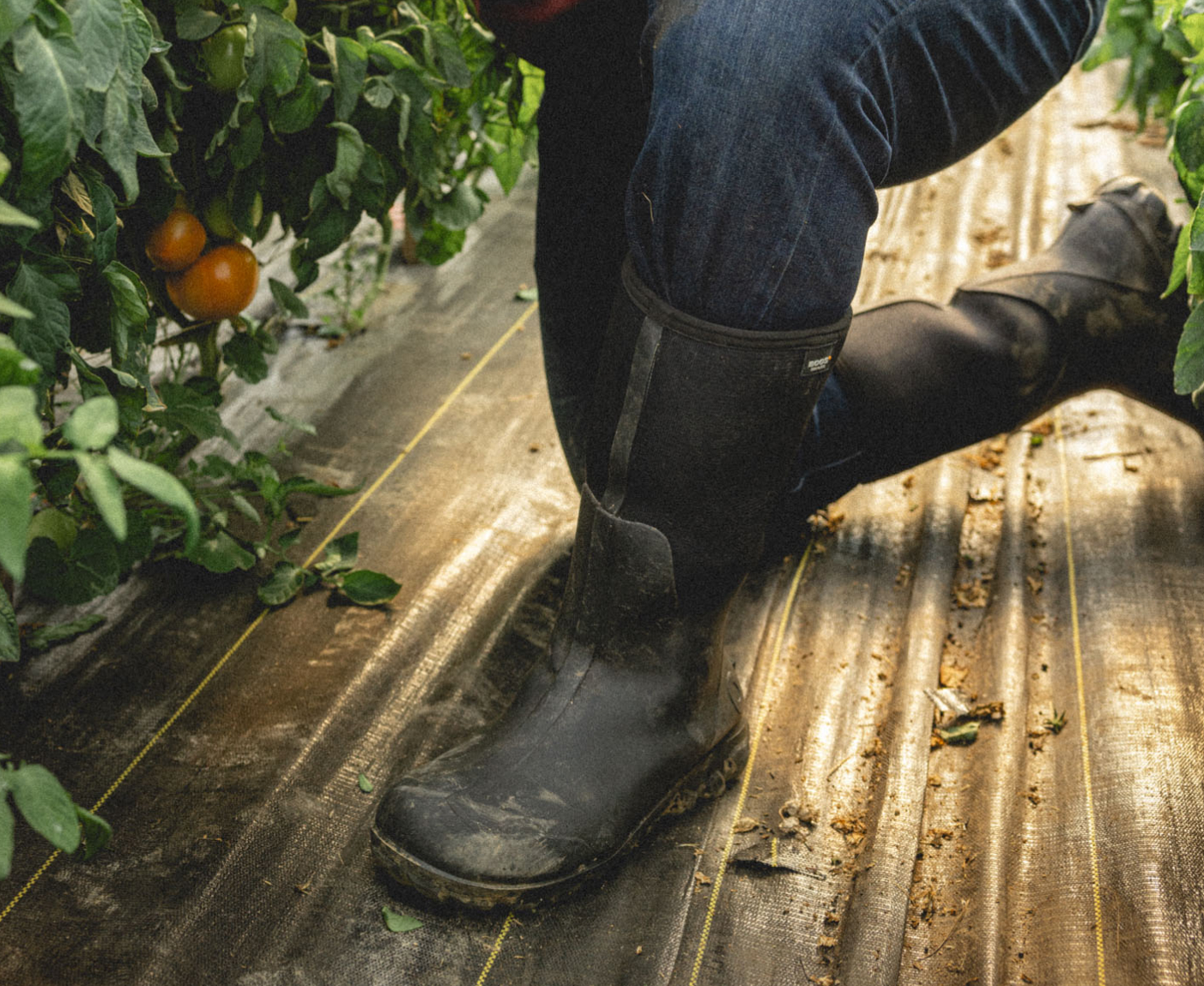 Classic Seamless Tall product image