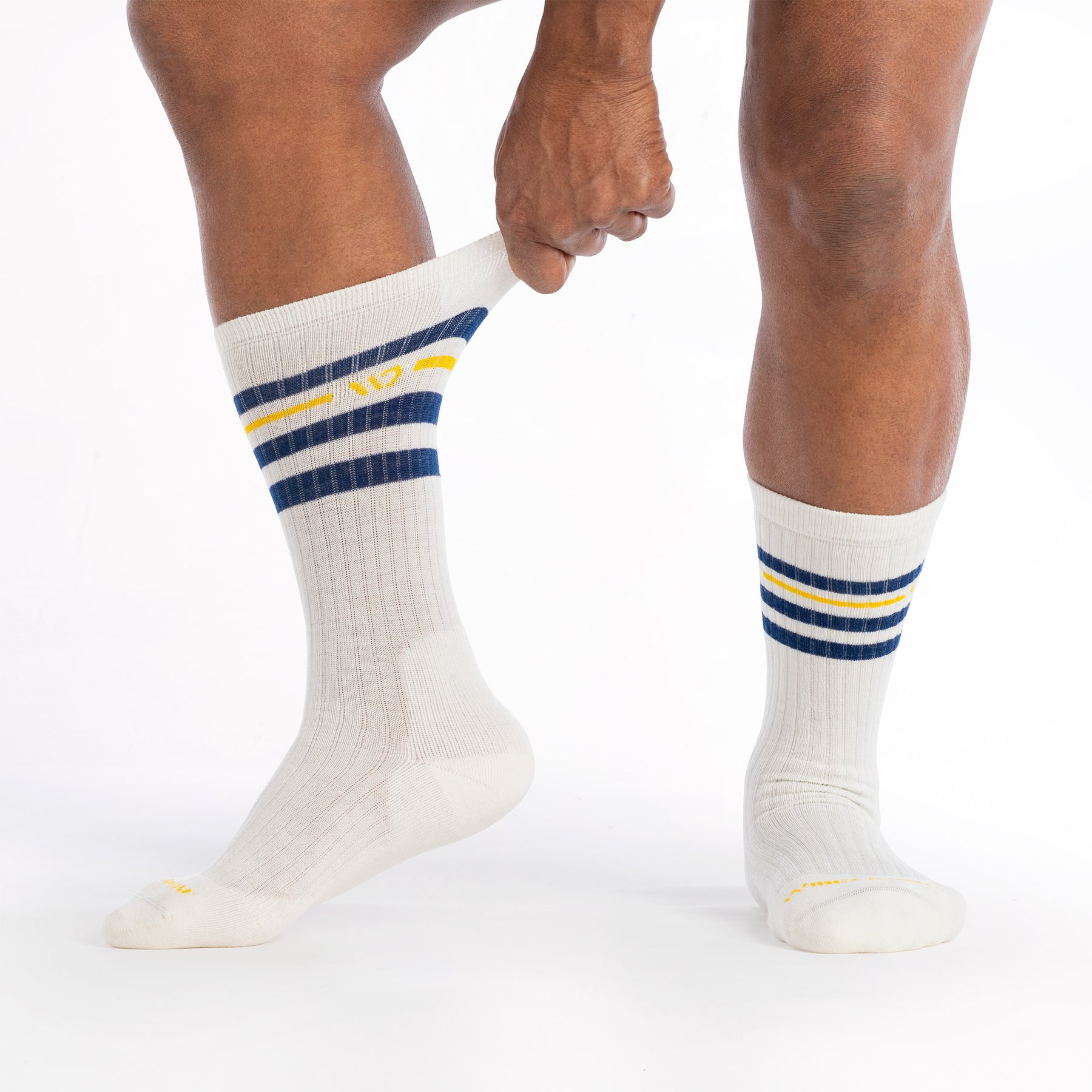 Vintage Stripe Cushioned Crew Socks product image