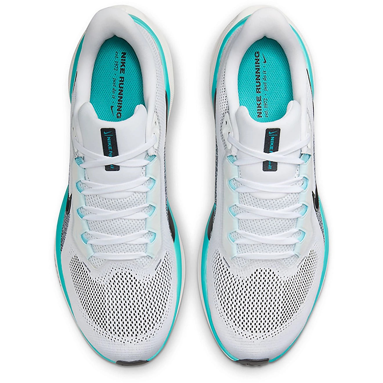 Air Zoom Pegasus 41 product image