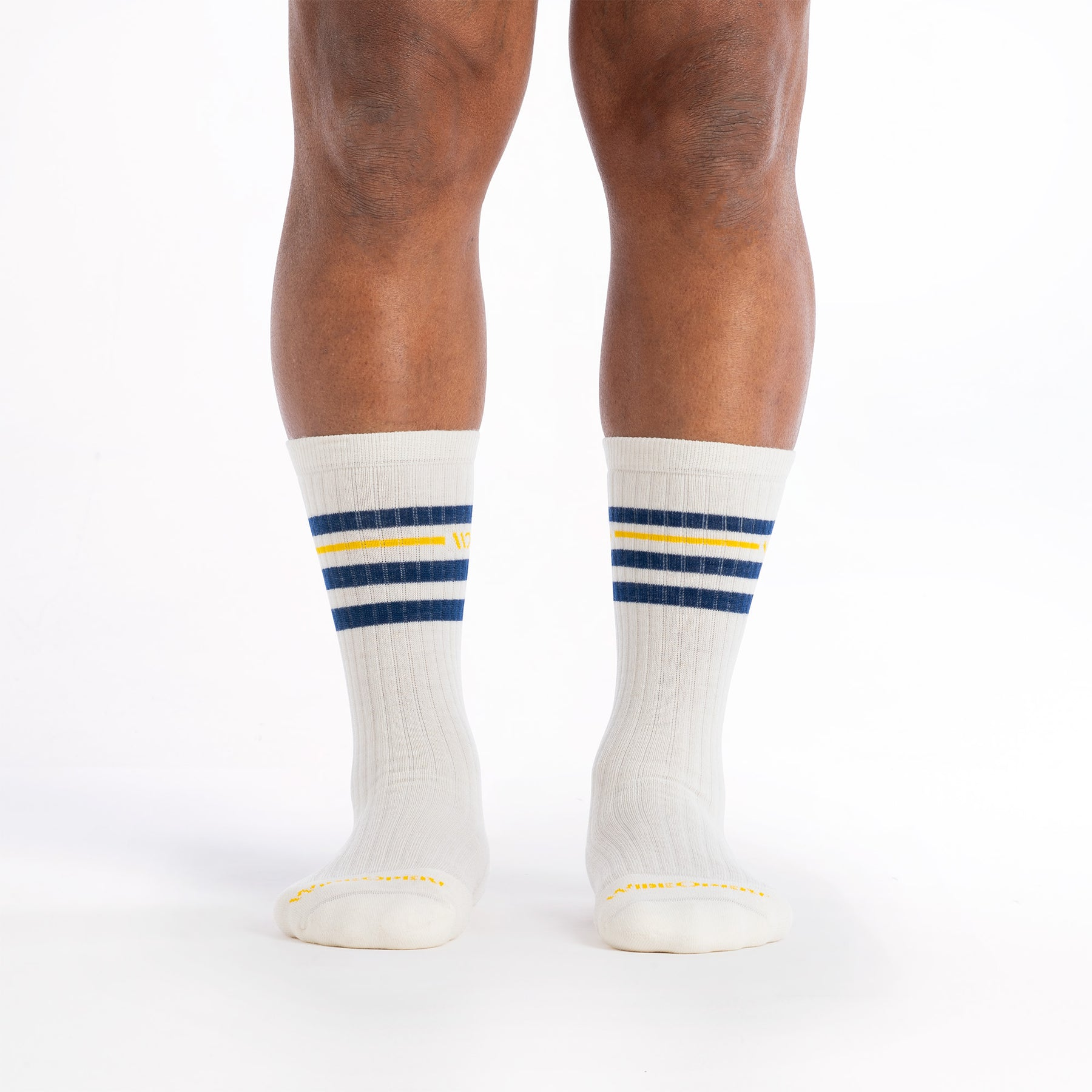 Vintage Stripe Cushioned Crew Socks product image