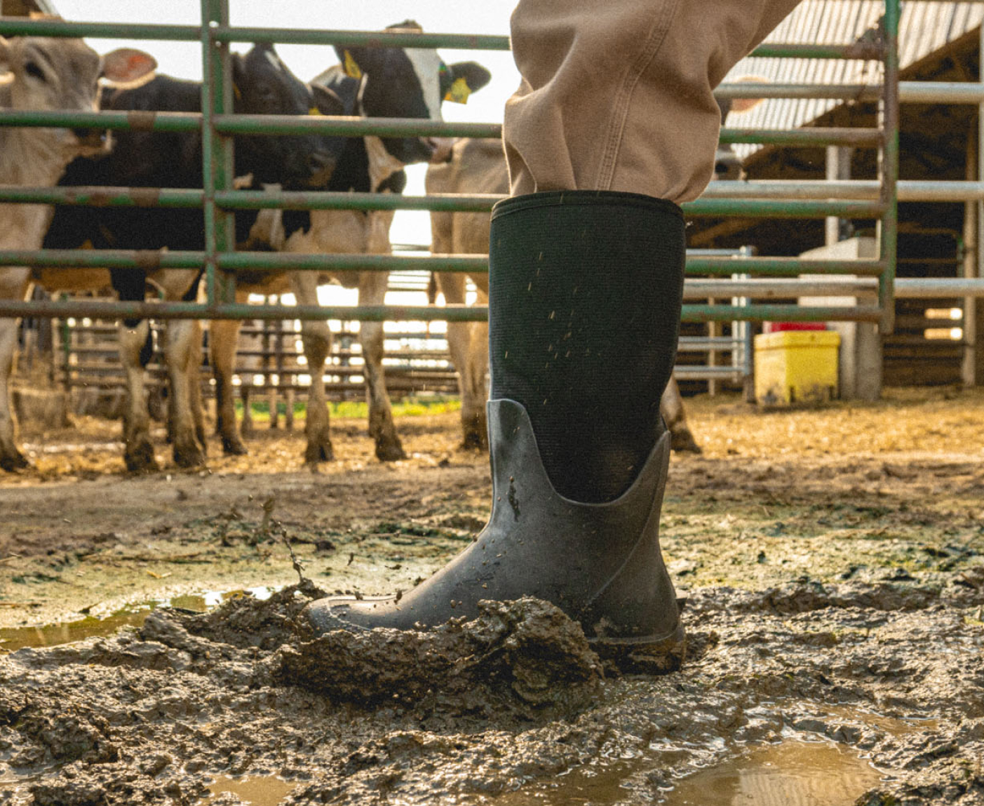 Classic Seamless Tall NT product image