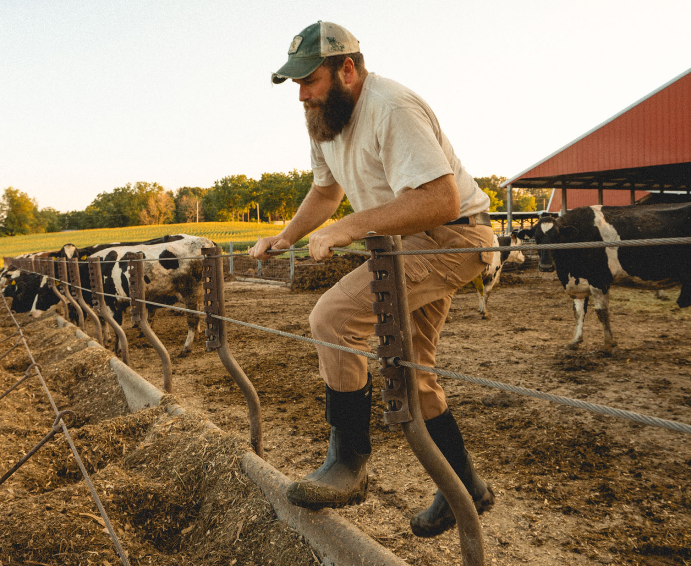 Classic Seamless Tall NT product image