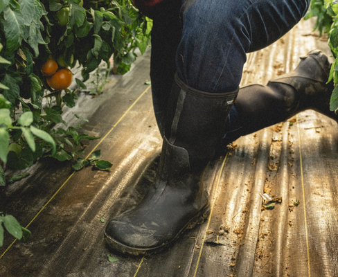 Bogs Classic Seamless Tall NT boots in black with waterproof construction and textured outsole, worn in a gardening setting.