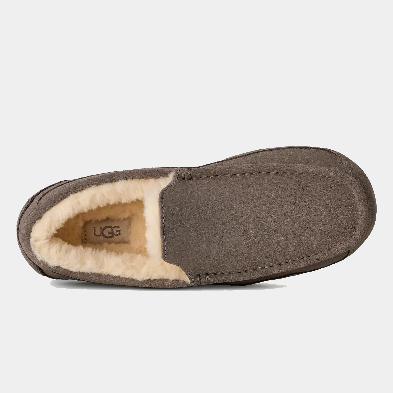 Ascot Suede product image