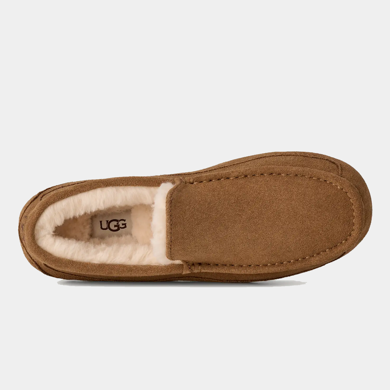 Ascot Suede product image