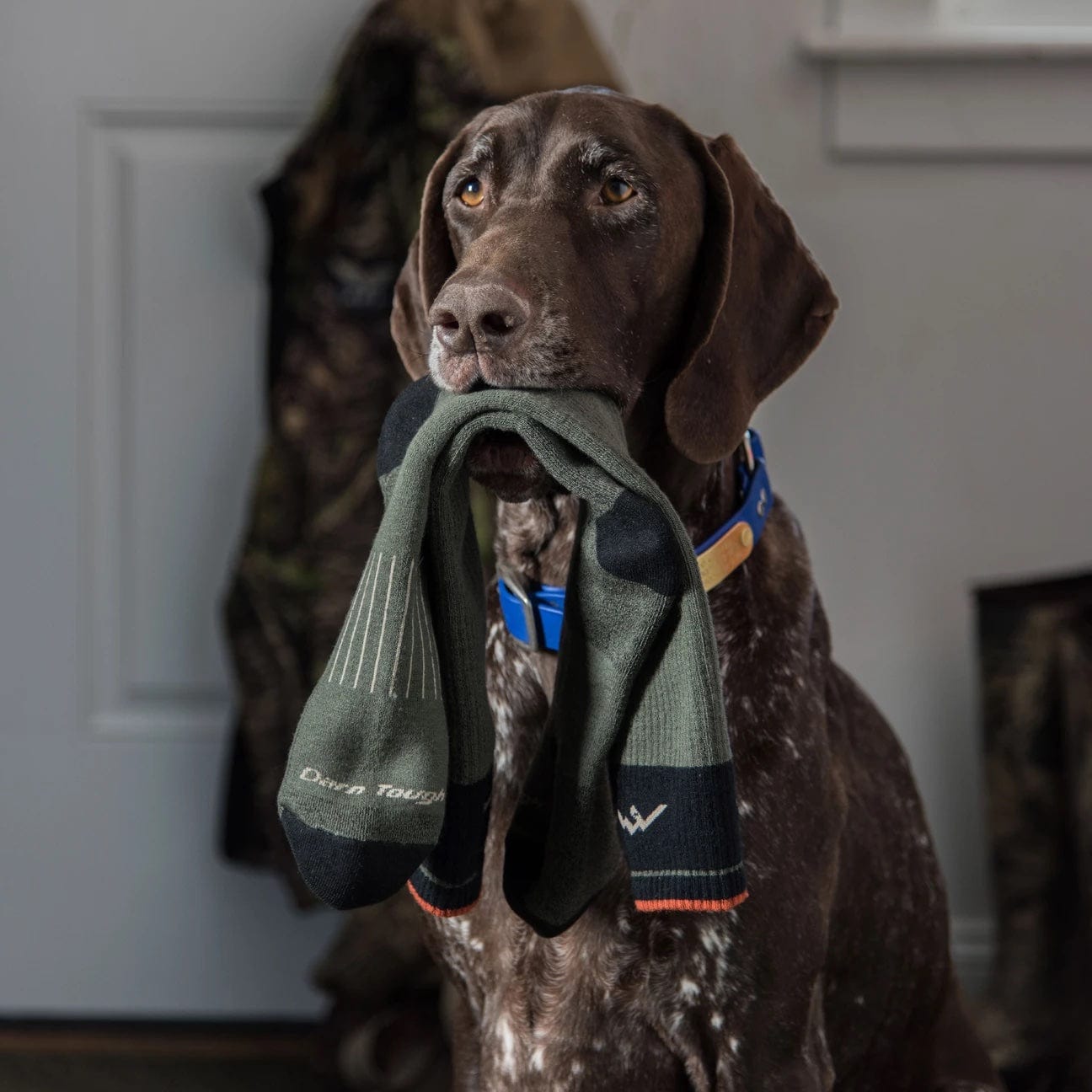 Hunter Over-The-Calf Extra Cushion product image