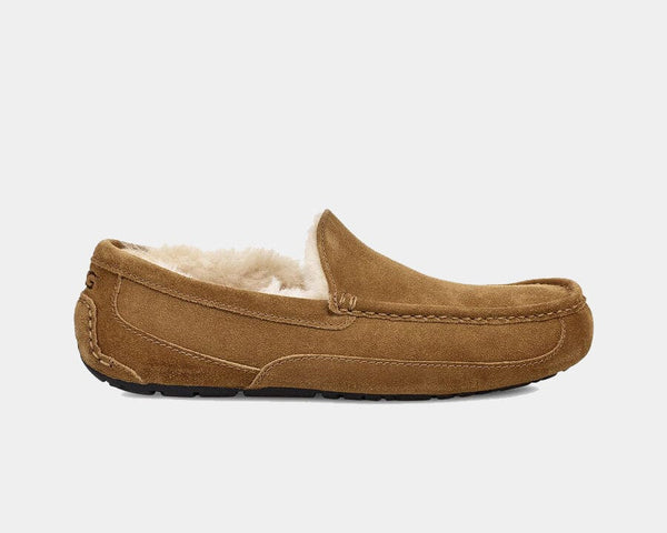 UGG グレー スエード ASCOT新品26cm外箱あり