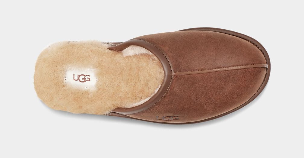 UGG Scuff Leather Slippers - Big and Tall Men display picture 1
