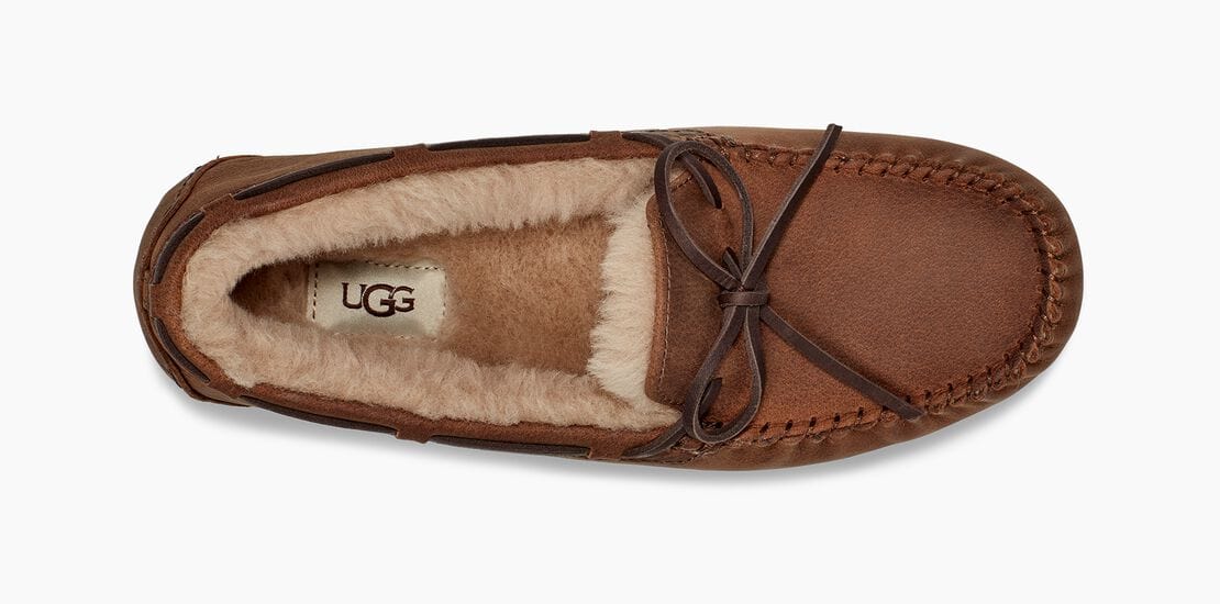 UGG Olsen Slippers for Men - Large Sizes – BigShoes display picture 1