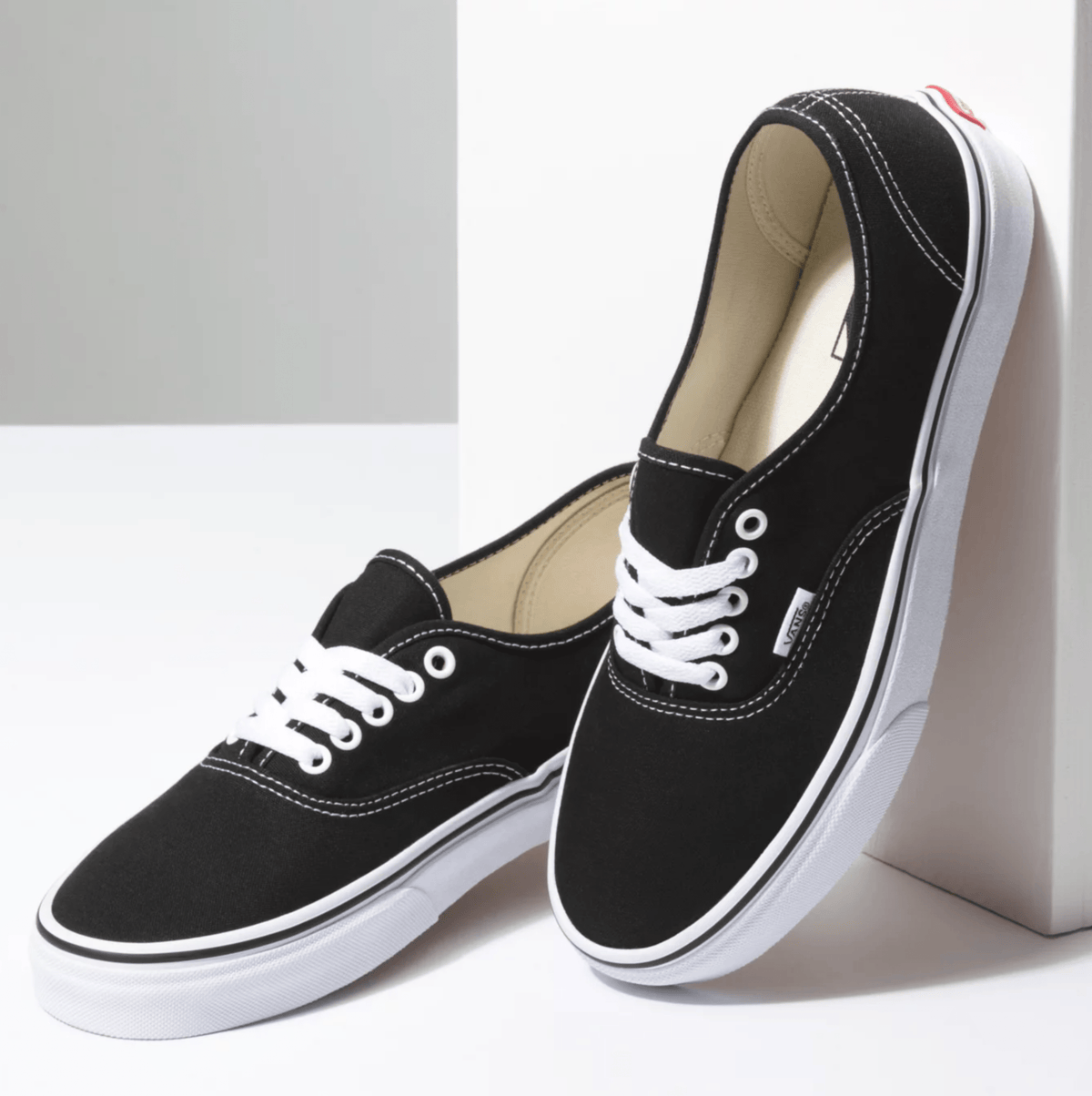 Vans Authentic Core Men's Shoes (Large) – BigShoes